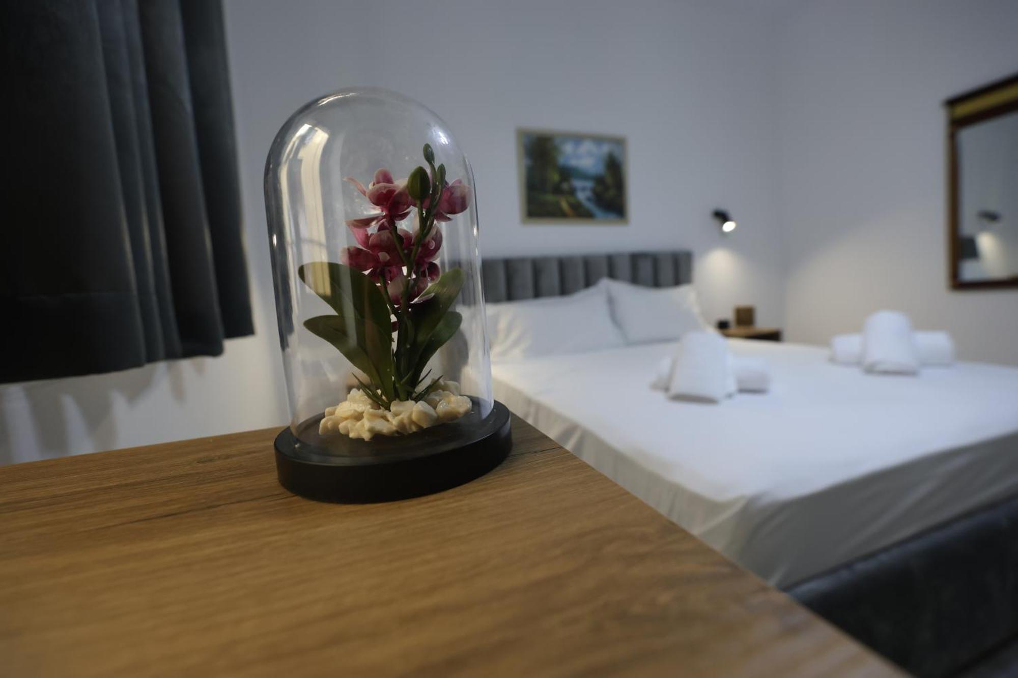 Vila Alizee Hotel Tirana Bagian luar foto